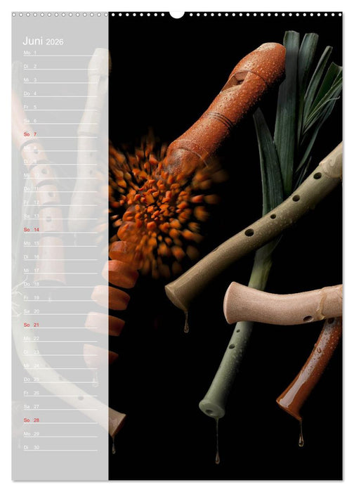 Crazy Kitchen - Der verrückte Küchenplaner (CALVENDO Wandkalender 2026)