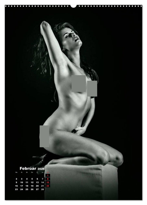 Klassische Erotik 2026 (CALVENDO Premium Wandkalender 2026)
