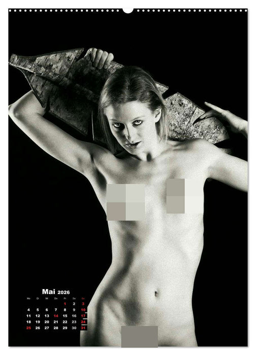 Klassische Erotik 2026 (CALVENDO Premium Wandkalender 2026)