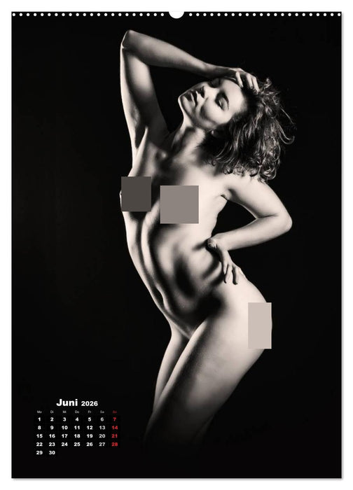 Klassische Erotik 2026 (CALVENDO Premium Wandkalender 2026)