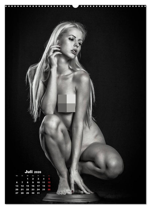 Klassische Erotik 2026 (CALVENDO Premium Wandkalender 2026)