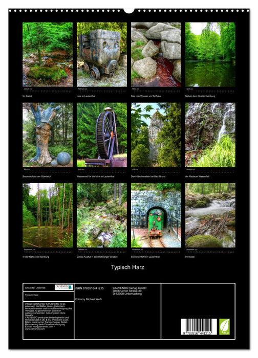 Typisch Harz (CALVENDO Premium Wandkalender 2026)