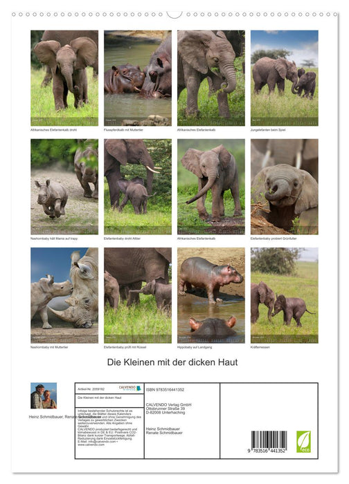 Die Kleinen mit der dicken Haut (CALVENDO Premium Wandkalender 2026)