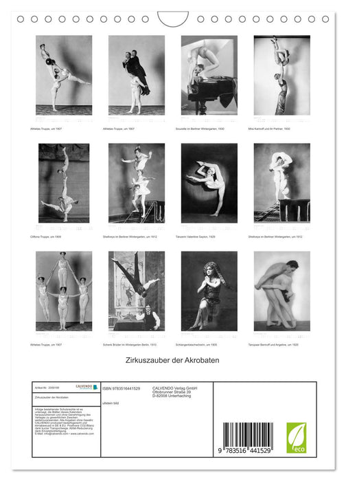 Zirkuszauber der Akrobaten (CALVENDO Wandkalender 2026)