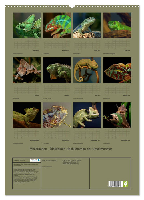 Minidrachen - Die kleinen Nachkommen der Urzeitmonster (CALVENDO Wandkalender 2026)