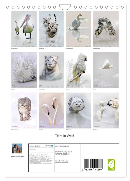 Tiere in Weiß (CALVENDO Wandkalender 2026)