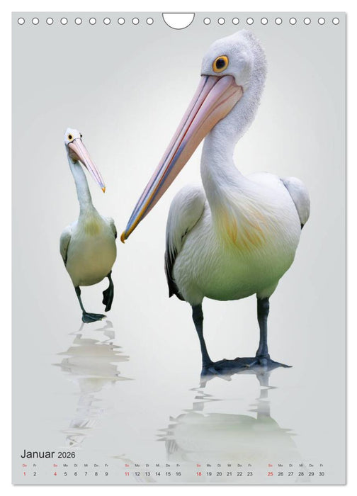 Tiere in Weiß (CALVENDO Wandkalender 2026)