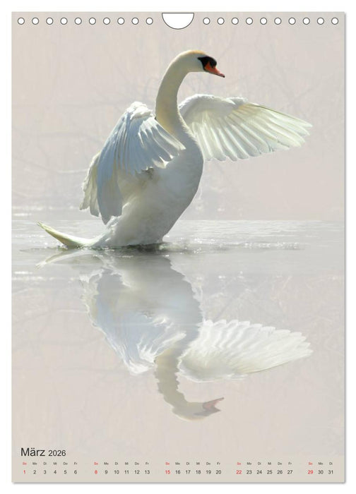 Tiere in Weiß (CALVENDO Wandkalender 2026)