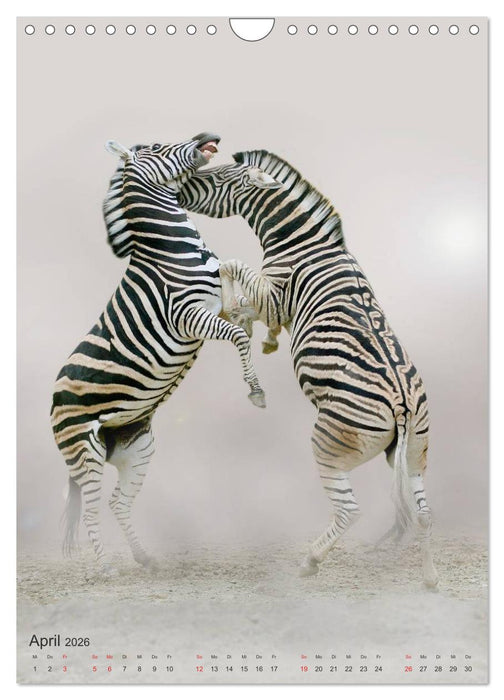 Tiere in Weiß (CALVENDO Wandkalender 2026)