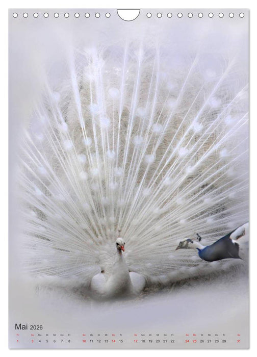 Tiere in Weiß (CALVENDO Wandkalender 2026)