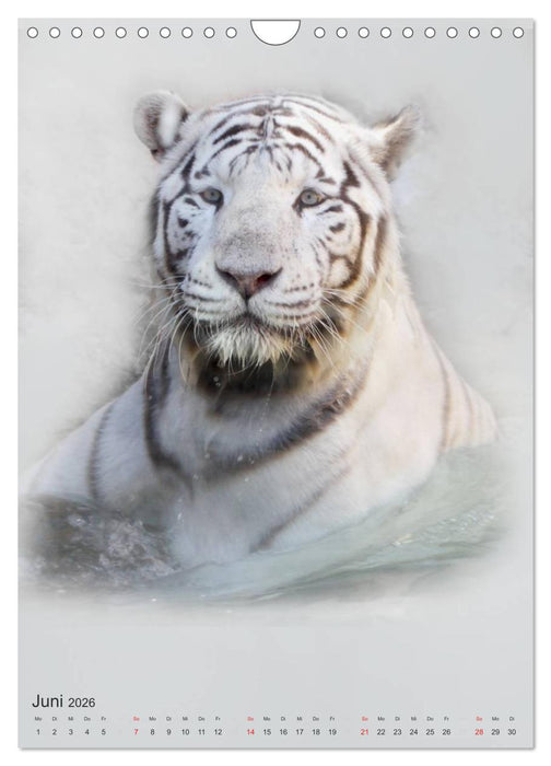 Tiere in Weiß (CALVENDO Wandkalender 2026)