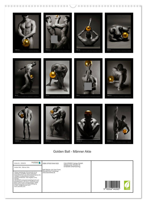 Golden Ball - Männer Akte (CALVENDO Premium Wandkalender 2026)
