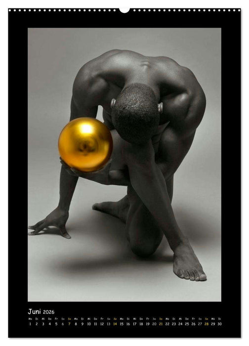 Golden Ball - Männer Akte (CALVENDO Premium Wandkalender 2026)