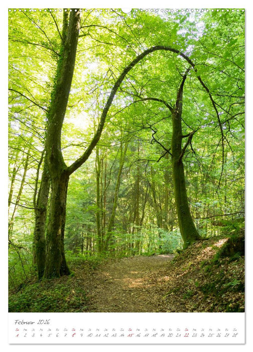 Zauberhafte Eifel (CALVENDO Wandkalender 2026)
