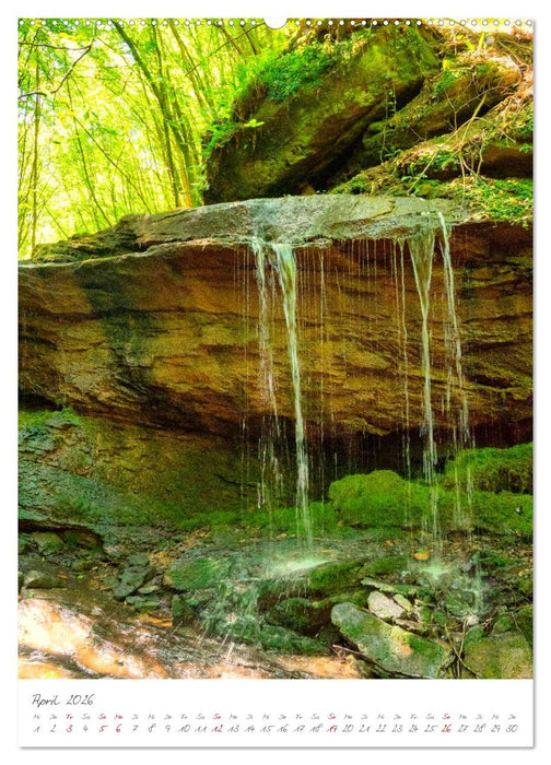 Zauberhafte Eifel (CALVENDO Wandkalender 2026)