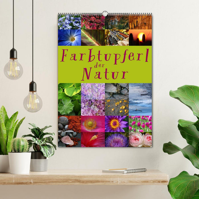Farbtupferl der Natur (CALVENDO Wandkalender 2026)