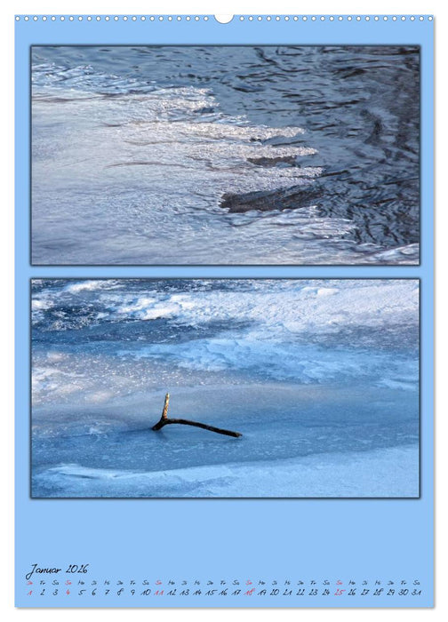 Farbtupferl der Natur (CALVENDO Wandkalender 2026)