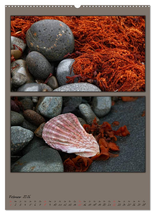 Farbtupferl der Natur (CALVENDO Wandkalender 2026)