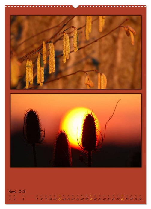 Farbtupferl der Natur (CALVENDO Wandkalender 2026)