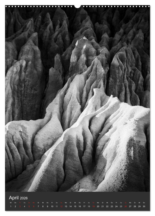 Natur in Schwarz und Weiß (CALVENDO Premium Wandkalender 2026)