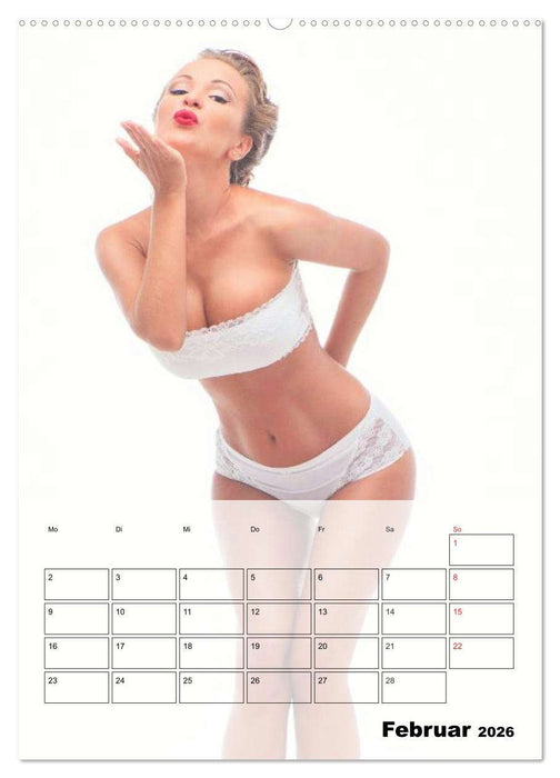 Sexy Hexi. Pin-ups-Planer (CALVENDO Premium Wandkalender 2026)