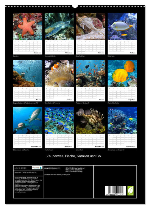 Zauberwelt. Fische, Korallen und Co. (CALVENDO Premium Wandkalender 2026)