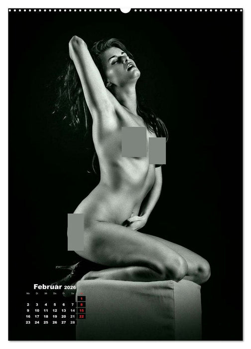 Klassische Erotik 2026 (CALVENDO Wandkalender 2026)