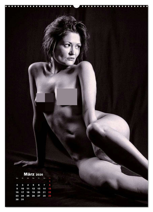 Klassische Erotik 2026 (CALVENDO Wandkalender 2026)