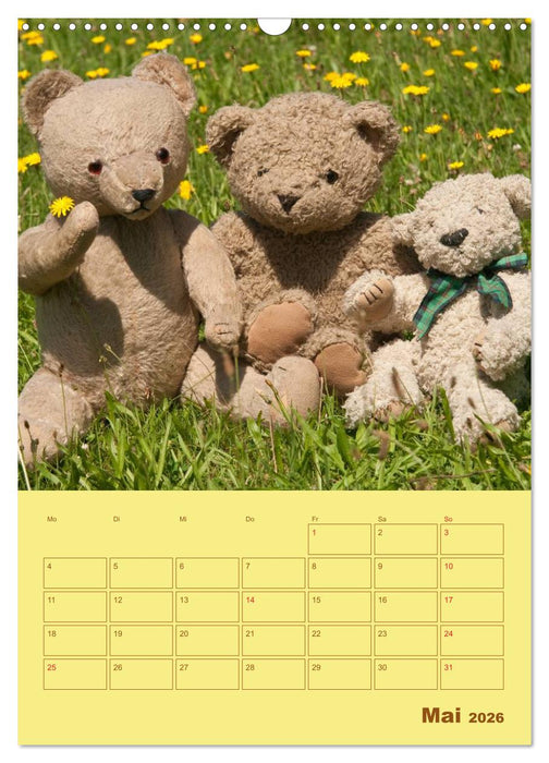 Bärenstarker Planer für das Jahr – Teddys (CALVENDO Wandkalender 2026)