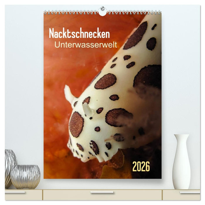 Nacktschnecken - Unterwasserwelt 2026 (CALVENDO Premium Wandkalender 2026)