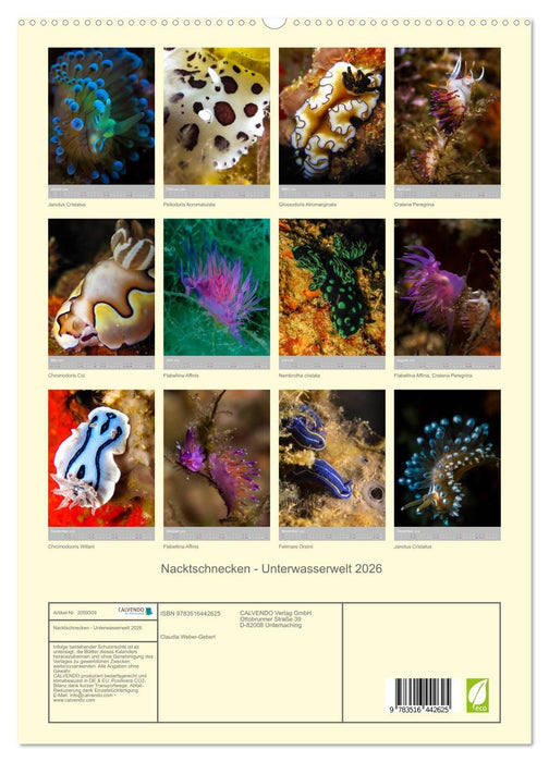 Nacktschnecken - Unterwasserwelt 2026 (CALVENDO Premium Wandkalender 2026)