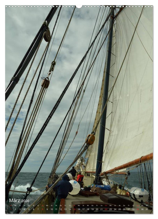 Segel gesetzt 2026 (CALVENDO Wandkalender 2026)