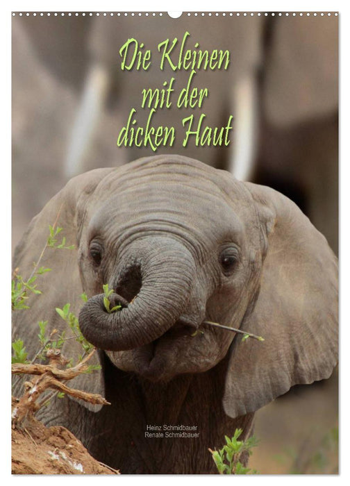 Die Kleinen mit der dicken Haut (CALVENDO Wandkalender 2026)