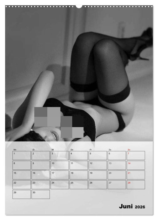 Erotisches Erlebnis. Sexy und heiß (CALVENDO Premium Wandkalender 2026)