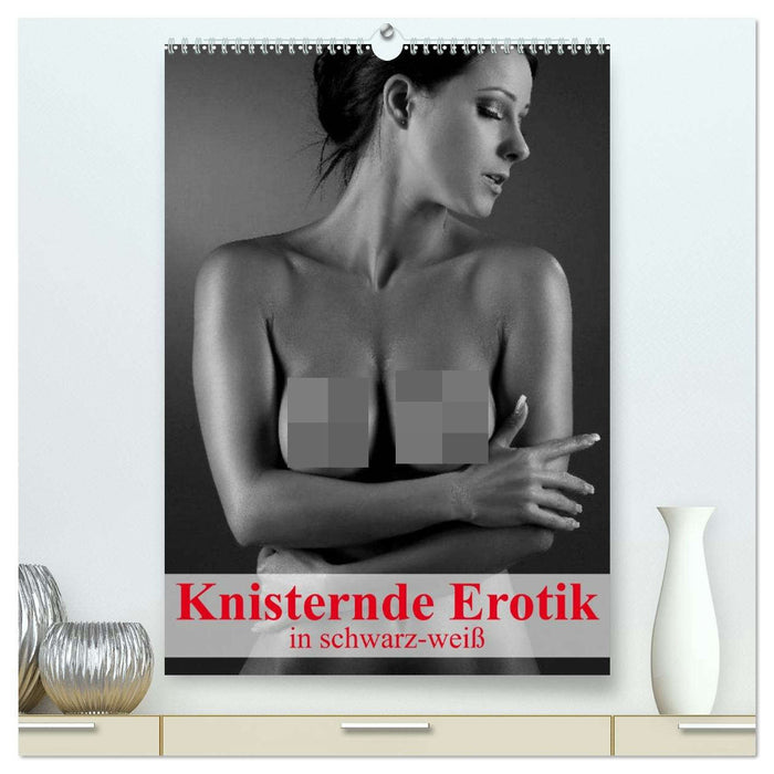 Knisternde Erotik in schwarz-weiß (CALVENDO Premium Wandkalender 2026)