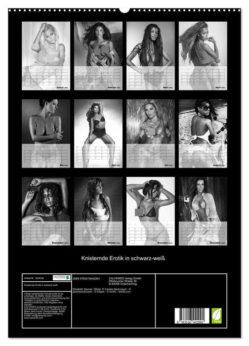 Knisternde Erotik in schwarz-weiß (CALVENDO Premium Wandkalender 2026)