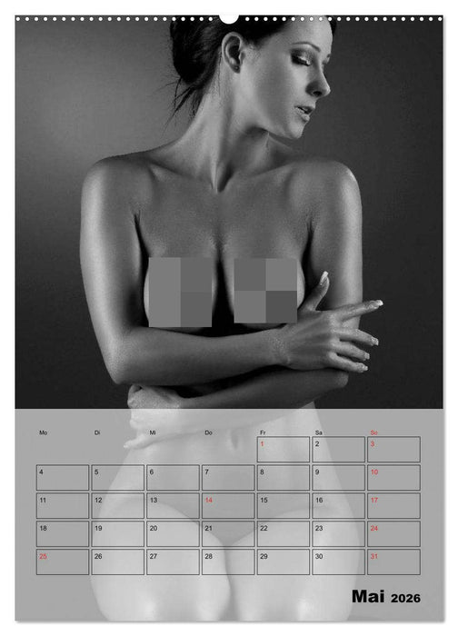 Knisternde Erotik in schwarz-weiß (CALVENDO Premium Wandkalender 2026)