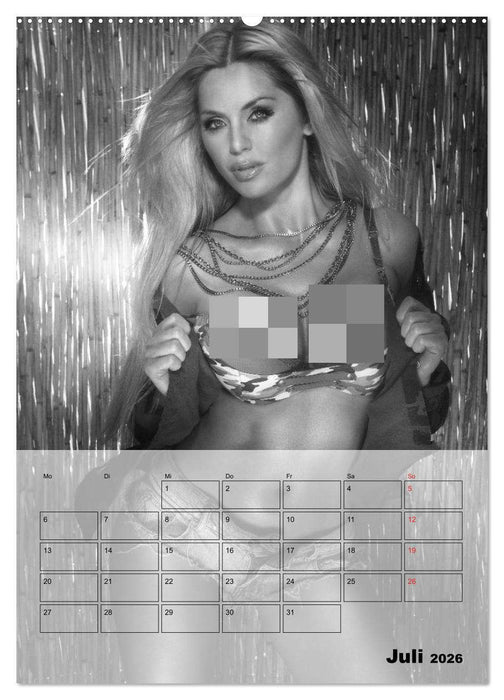 Knisternde Erotik in schwarz-weiß (CALVENDO Premium Wandkalender 2026)