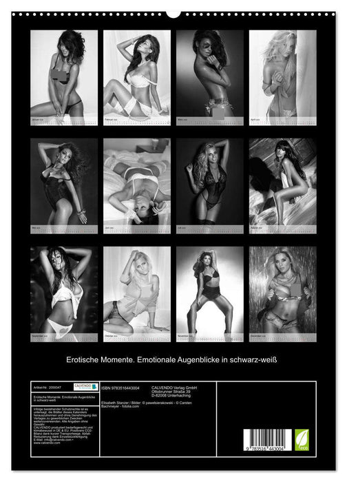 Erotische Momente. Emotionale Augenblicke in schwarz-weiß (CALVENDO Premium Wandkalender 2026)