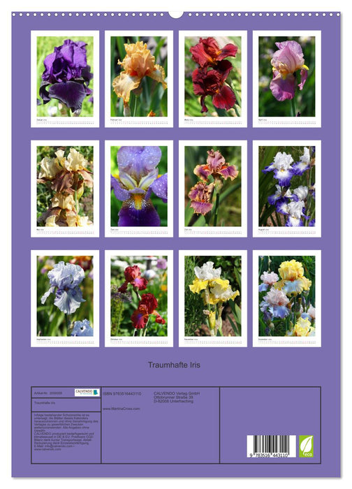 Traumhafte Iris (CALVENDO Premium Wandkalender 2026)