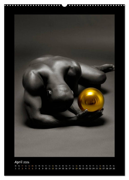 Golden Ball - Männer Akte (CALVENDO Wandkalender 2026)