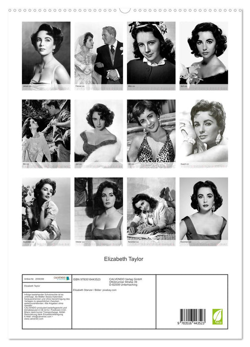 Elizabeth Taylor (CALVENDO Premium Wandkalender 2026)