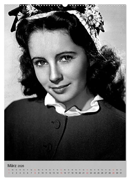 Elizabeth Taylor (CALVENDO Premium Wandkalender 2026)