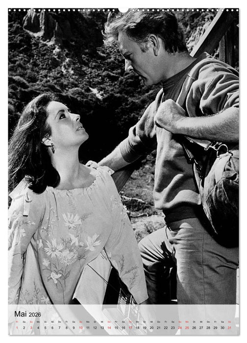 Elizabeth Taylor (CALVENDO Premium Wandkalender 2026)