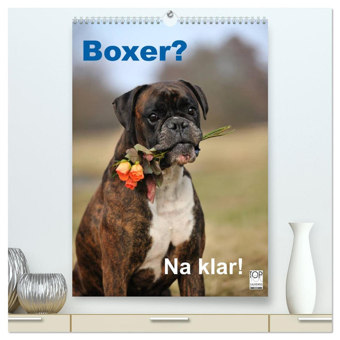 Boxer? Na klar! (CALVENDO Premium Wandkalender 2026)