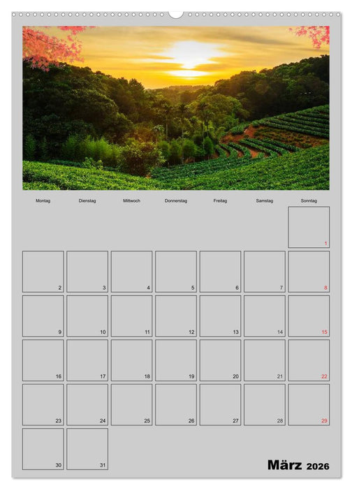 Wundervolles Japan (CALVENDO Wandkalender 2026)