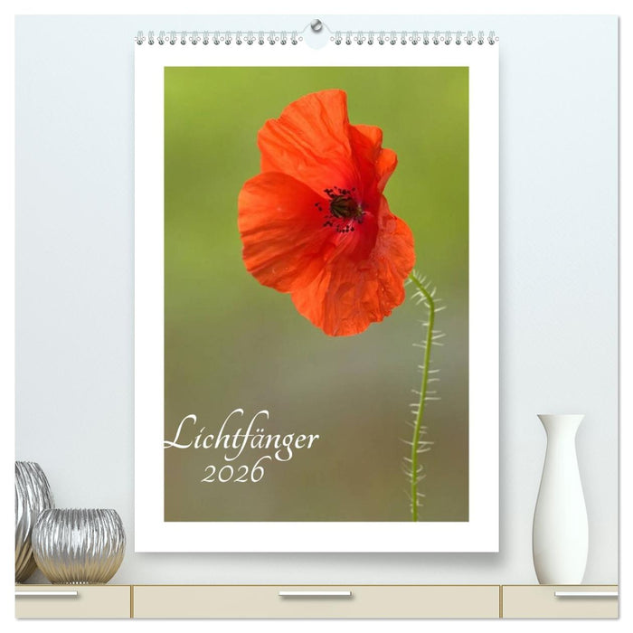 Lichtfänger (CALVENDO Premium Wandkalender 2026)
