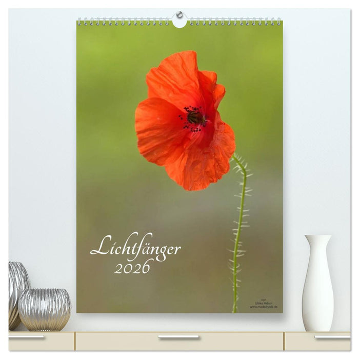 Lichtfänger (CALVENDO Premium Wandkalender 2026)