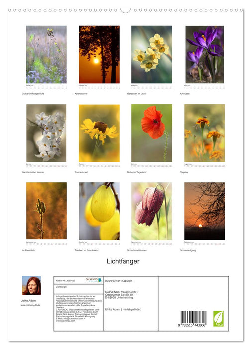 Lichtfänger (CALVENDO Premium Wandkalender 2026)