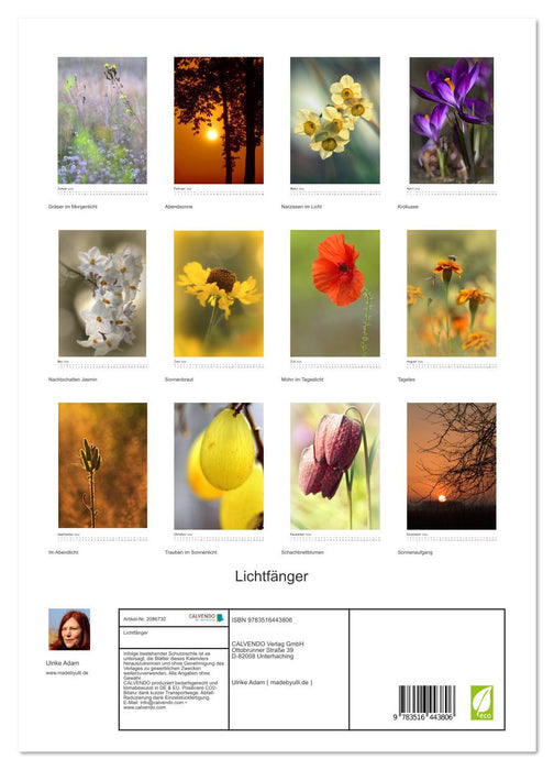 Lichtfänger (CALVENDO Premium Wandkalender 2026)